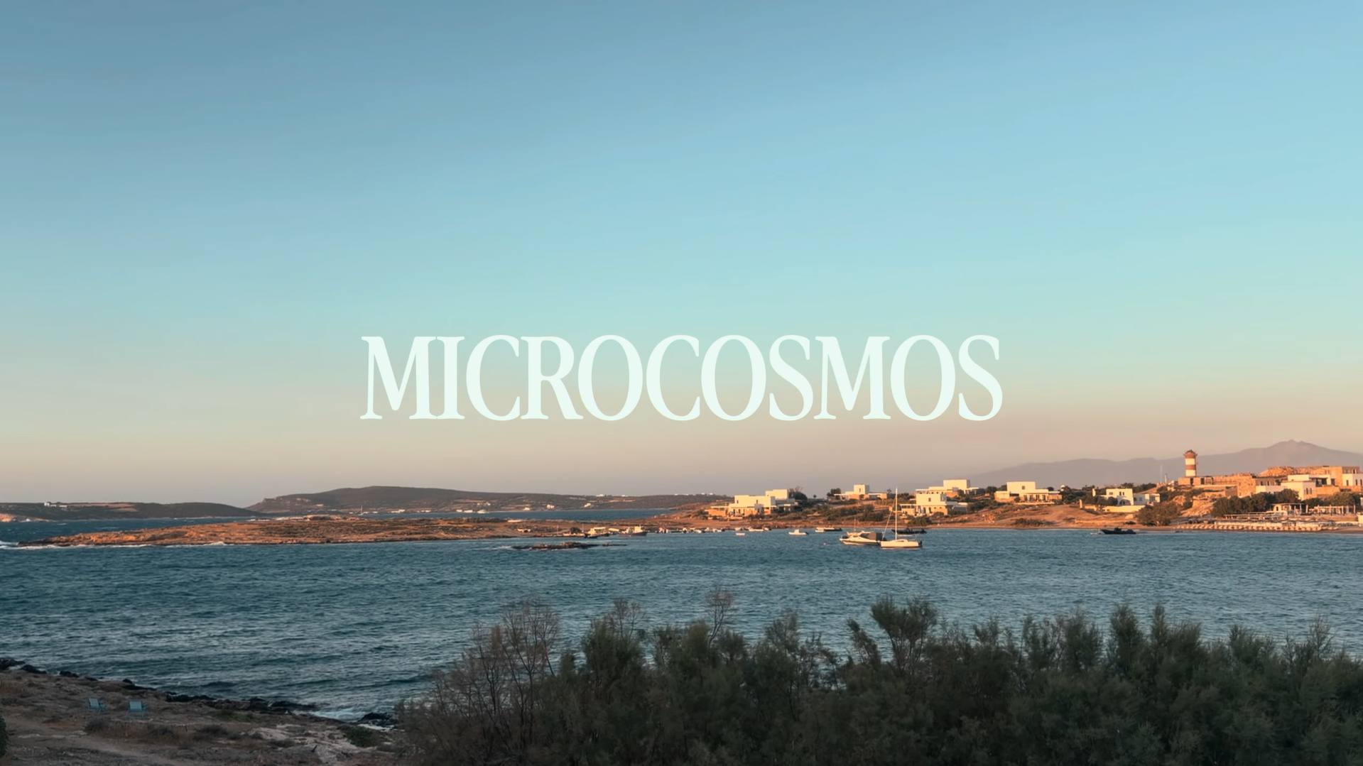 Εξώφυλλο του Microcosmos